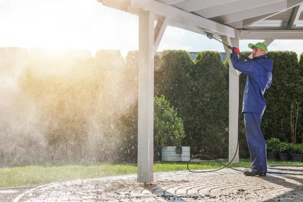 Best Sidewalk and Walkway Cleaning  in Chieand, FL